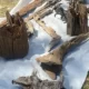 previous thumbnail